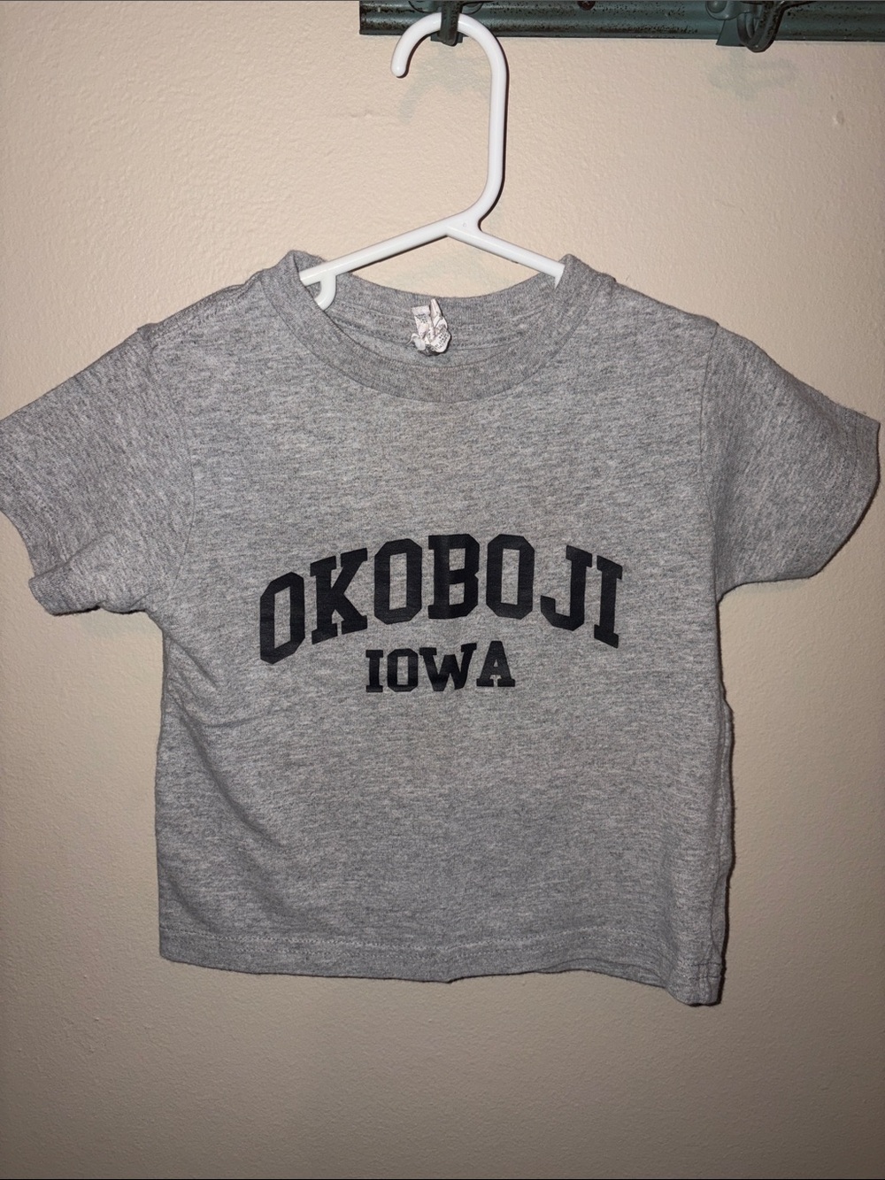 Rabbit Skins Grey OKOBOJI IOWA Kids Short Sleeve Tee